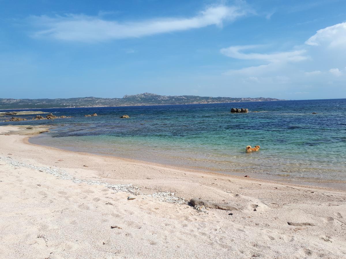 Residence Le Village Marin Porto-Vecchio  Ngoại thất bức ảnh
